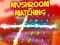 Gioco Mushroom matching in linea
