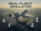 Gioco Real Flight Simulator in linea