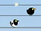 Gioco Gone with the Birds in linea