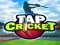Gioco Tap Cricket in linea