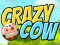 Gioco Crazy Cow in linea