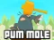 Gioco Pum-Mole in linea
