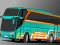 Gioco Villager Bus Simulator in linea