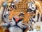 Gioco Jigsaw Puzzles Classic in linea