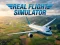 Gioco Real Flight Simulator in linea