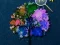 Gioco Hidden Stars in linea
