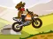 Gioco Hill Climb Moto in linea