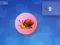 Gioco Snail Clicker in linea