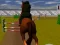 Gioco Jumping Horse 3d in linea