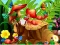 Gioco Hidden Objects Insects in linea