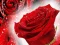 Gioco Red Roses in linea