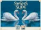 Gioco Swans Slide in linea