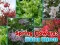 Gioco Spring Flowers: Hidden Objects in linea