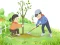 Gioco Arbor Day Puzzle in linea