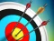 Gioco Master Archery Shooting in linea