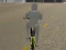 Gioco Bicycle Simulator in linea