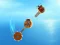 Gioco Crazy Machines in linea