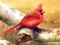 Gioco Art Birds Puzzle in linea