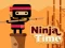 Gioco Ninja Time in linea