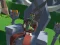 Gioco Lazy Orcs: Arena in linea