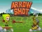 Gioco Arrow Shoot in linea