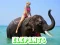 Gioco Elephants Puzzle in linea