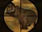 Gioco Classical Hippo Hunting in linea