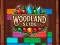 Gioco Woodland Slide in linea