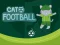 Gioco Cat Football in linea