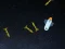 Gioco 5 Minutes in Space in linea