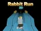 Gioco Rabbit Run 3D in linea