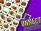 Gioco Onnect Pair Matching in linea