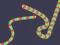 Gioco Slither Classic in linea