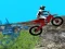 Gioco Forest Bike Trials 2019 in linea