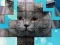 Gioco PicPu Cat in linea
