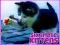 Gioco Six Little Kittens in linea