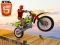 Gioco Bike Stunts in linea