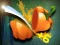 Gioco Veggie Slicer in linea