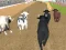 Gioco Angry Bull Racing in linea