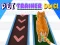 Gioco Pet Trainer Duel in linea