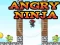 Gioco Angry Ninja in linea