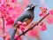 Gioco Lovable Birds in linea