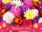 Gioco 2019 Mother's Day Puzzle in linea