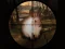 Gioco Classical Rabbit Sniper Hunting 2019 in linea