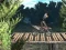 Gioco Bike Trial Xtreme Forest in linea