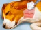 Gioco Dog Hospital in linea