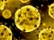 Gioco Coronavirus Slide in linea