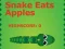 Gioco Snake Eats Apples in linea