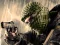 Gioco Terrorist Shootout in linea