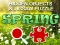 Gioco Hidjigs Spring in linea